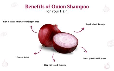 Dokmai London Onion Hair Shampoo | Anti Hair Fall & Hair Growth ...