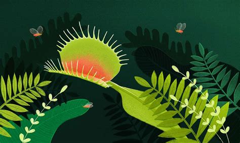 Image result for Software Testing Scenarios