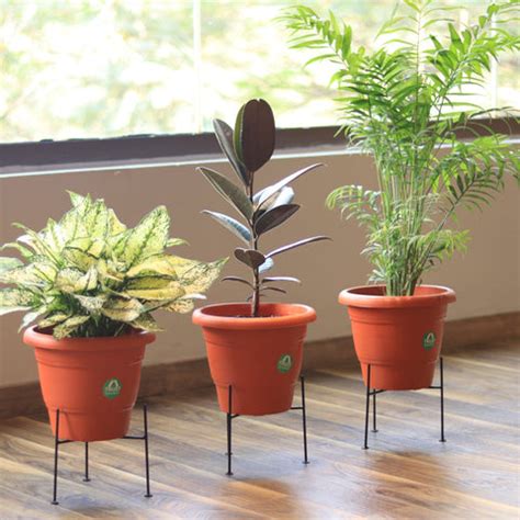 Planter Stand for Flower Pots – TrustBasket