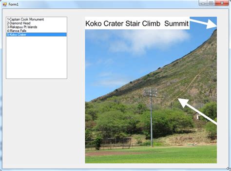 Image Data Type Name in SQL 的图像结果