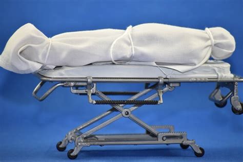 Image result for Alien Examination Table