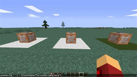 Command to Be Animal Minecraft Java 的图像结果