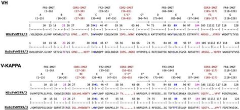 Exploring the Biological Activity of a Humanized Anti-CD99 ScFv and ...