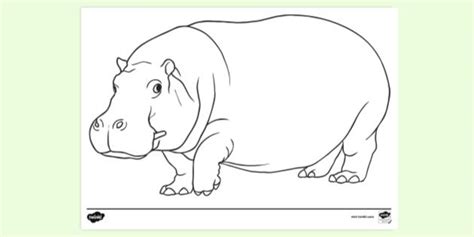 FREE! - Hippo Colouring Page | Colouring Sheets