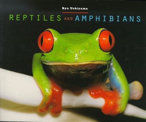 Buy Reptiles and Amphibians Book Online at Low Prices in India ...