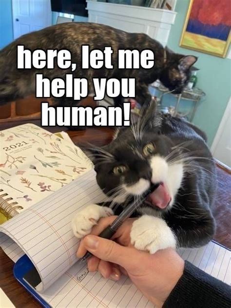 AMBIL SEKARANG