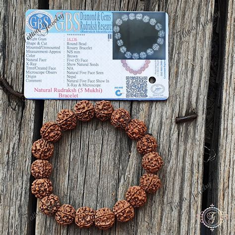 Buy Authentic Rare 11.5-12.5 Mm Nepali 5 Mukhi Rudraksha Beads Bracelet ...