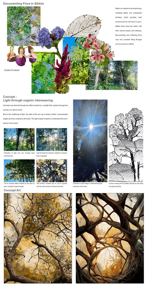 Jangala Resort | CEPT - Portfolio