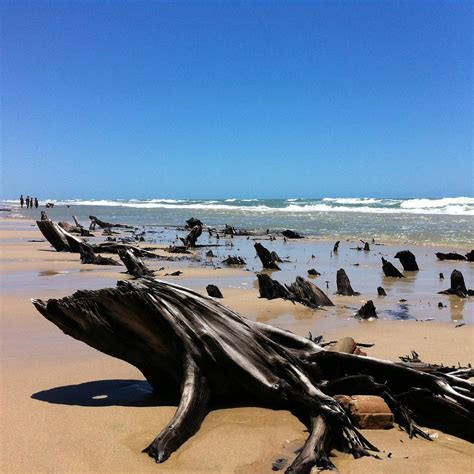 PRAIA DE BALBINA (2026) All You Need to Know BEFORE You Go (with Photos ...