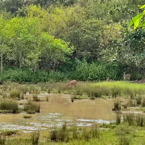 JUNGLE AVENGERS (Paramanandpur) - Resort Reviews, Photos, Rate ...