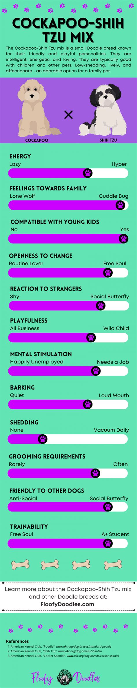 Image result for Cockapoo Shih Tzu