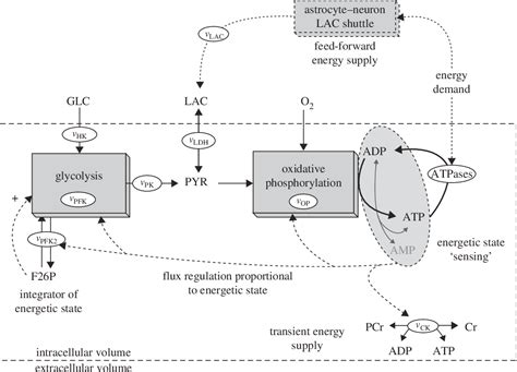 Molecule Energy Control 的图像结果