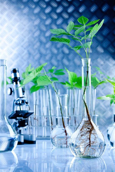 Biotechnology Investment Wallpaper 的图像结果