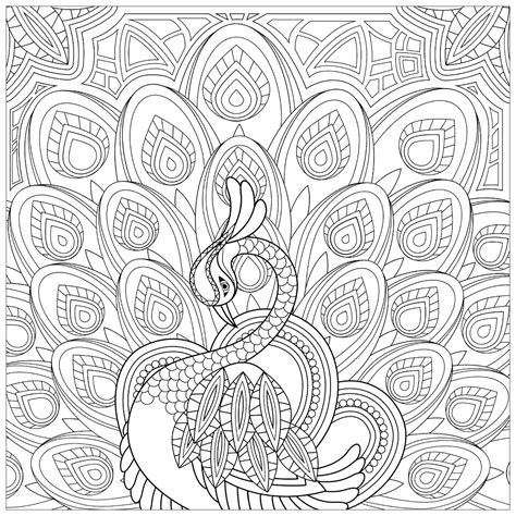 Peacock coloring page for kids - Peacock Coloring Pages