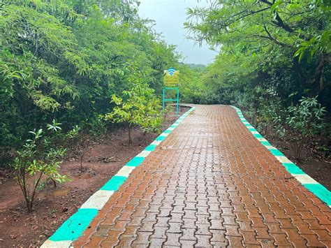 Explore Places to visit in Satara during Rainy Season : Monsoon ...