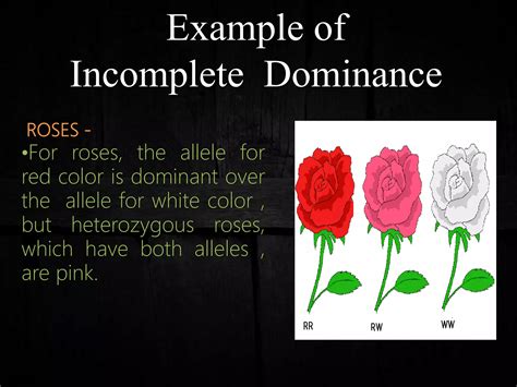 Incomplete Dominance Example