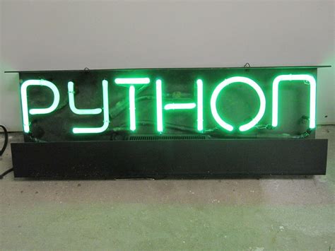 Python Neon Sign 的图像结果