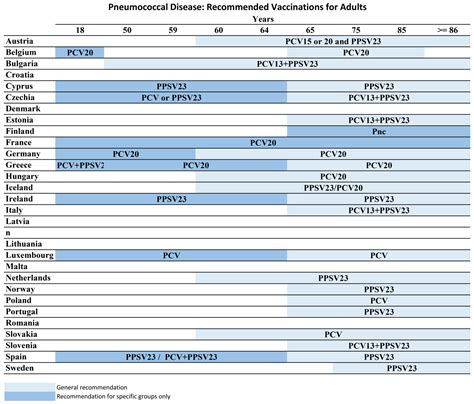 The New Era of Pneumococcal Vaccination in Adults: What Is Next?