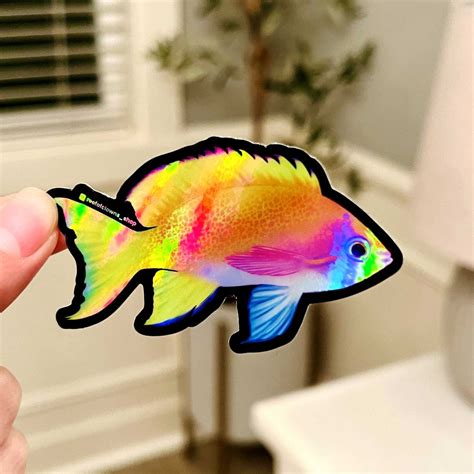Bimaculatus Anthias (holographic) | Fish Art Sticker | Aquarium Art ...