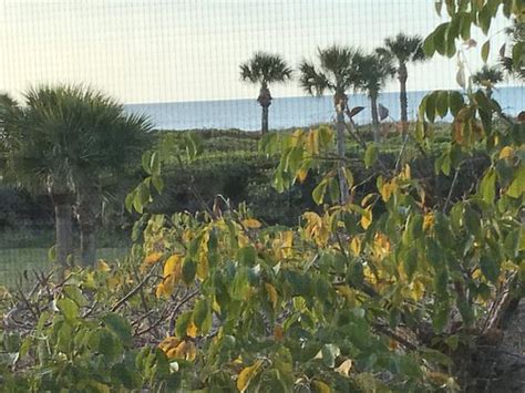 SANDPIPER BEACH (Sanibel Island) - Apartment Reviews & Photos - Tripadvisor