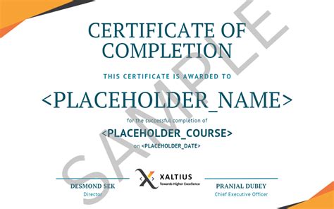 Coding Certificate 的图像结果