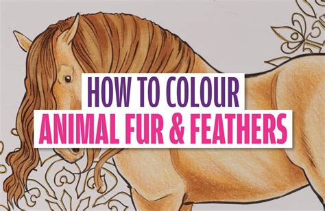 Image result for Animal Coloring Tutorial