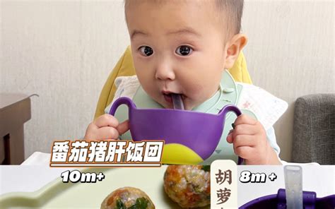 11m+宝宝辅食｜番茄猪肝饭团｜胡萝卜苹果小米糊 - 哔哩哔哩