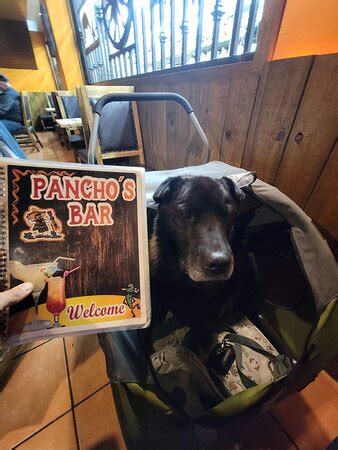 Nuevo Progreso Pictures - Traveller Photos of Nuevo Progreso ...