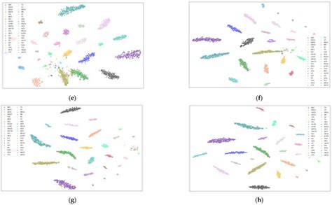 Contrastive Learning Network Based on Causal Attention for Fine-Grained ...