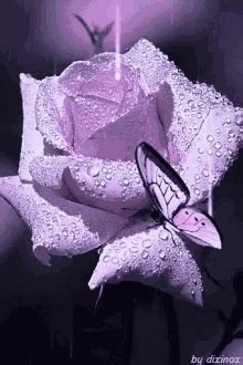 Image result for Computer Science Desktop Backgrounds
