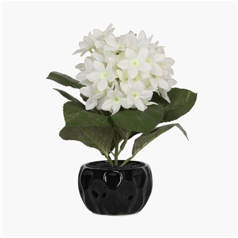 Buy Sachi Potted Hydrangea from Home Centre at just INR 899.0