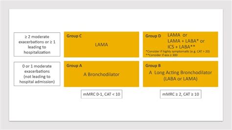 2020 GOLD guidelines for COPD & what they mean for Indian doctors: Dr.