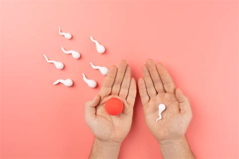 The Truth About Fertility: Is During Period Pregnancy Possible?