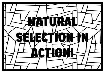 NATURAL SELECTION IN ACTION! High School Science Coloring Pages school ...