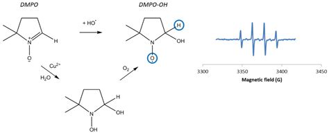 Hydroxyl Radical Generation by the H2O2/CuII/Phenanthroline System ...