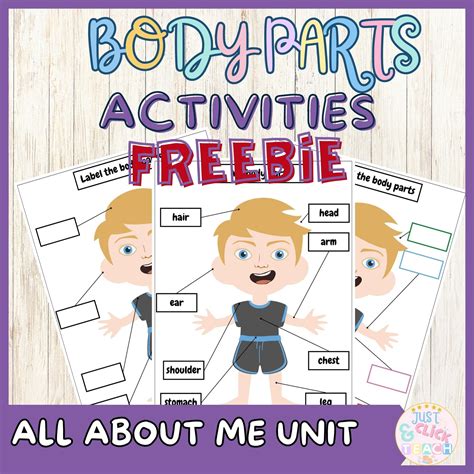 Free Body parts matching activities | body parts poster | All about me unit | Made By Teachers