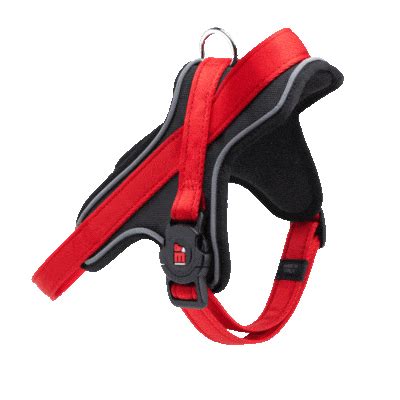 Dog Harness | MemoPet | Activity Tracking ID | Digital ID