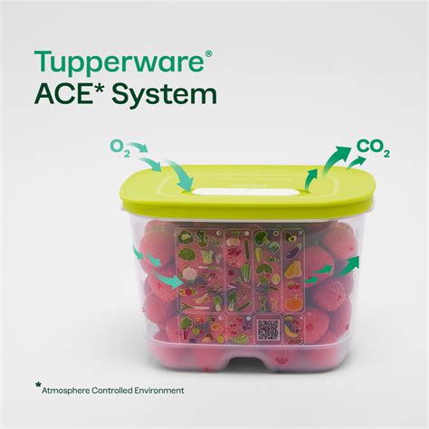 FridgeSmart® Containers – Tupperware Brand