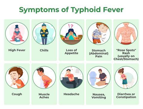 Difference between symptoms of dengue and typhoid