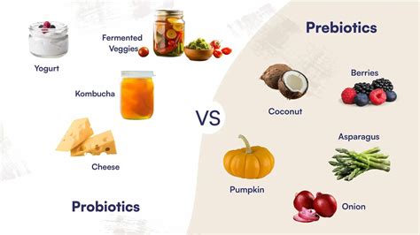 Prebiotic vs Probiotic: What’s the Difference and Which Do You Need? - Angry Lion Fitness