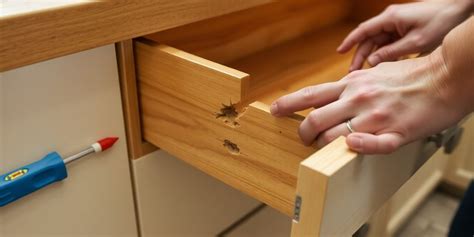 Kitchen Drawer Fix 的图像结果