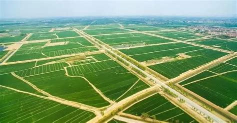 高标准基本农田建设-科瑞斯众（天津）科技有限公司