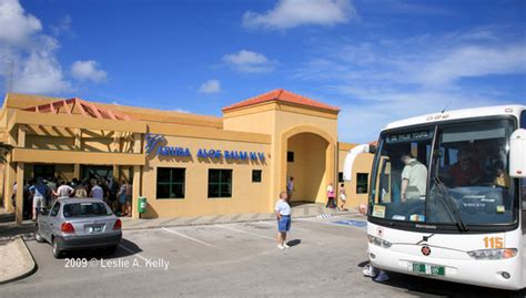 Fun educational stop on our tour - Reviews, Photos - Aruba Aloe Factory ...