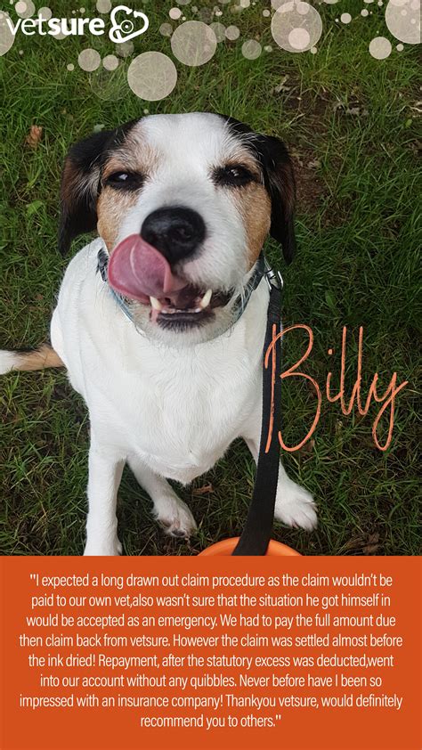 Farmers Pet Insurance Review | chocolatepimentaemaracuja