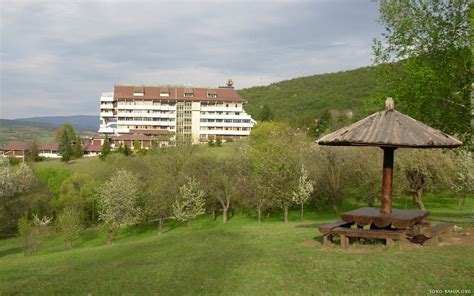 Park šuma "Čuka II" | Sokobanja - 💚 Zeleno srce Srbije