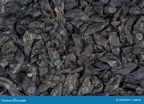 Macro Detail of a Pile of Agapanthus or African Lily Plant Seeds Stock ...