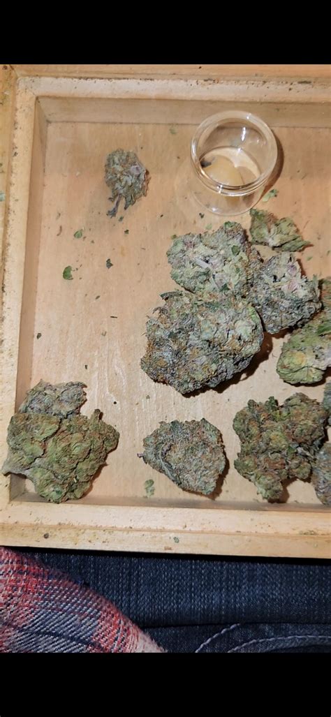 Quarter Pound Of Weed On Scale