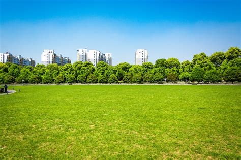 City and grass with blue sky | Free Photo