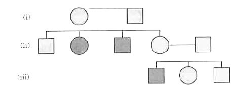 Study the given pedigree chart and answer the questions that follow. Is ...