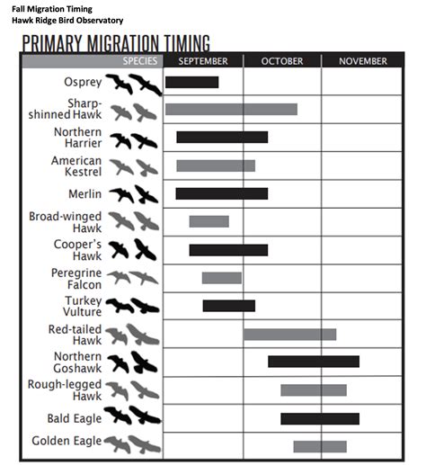 Fall Bird Migration (Chart) - St. Louis River Alliance